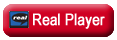 Click here to view webcast using Real Player 