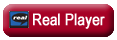 Click here to view webcast using Real Player 